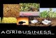 The impact of AGRIBUSINESS - Texas A&M Universityamarillo.tamu.edu/files/2010/11/ImpactofAgribusinessin...Agribusiness Payroll 74% 23% 3% Table 1. Annual Total Agricultural Cash Receipts,