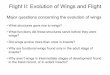 Flight II: Evolution of Wings and Flight...the thorax by using indirect muscle attachments as seen in extant insects. • Evidence against this theory. Evolution of a fully articulated
