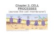 Chapter 3: CELL PROCESSES · • Every living cell contains a liquid interior (cytoplasm) and is surrounded by a liquid. • The cell (plasma) membrane separates what is inside the