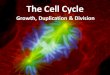 The Cell Cycle - Unbound...The Cell Cycle Growth, Duplication & Division Eukaryotic Cell Cycle •An orderly sequence of events in which a cell grows, duplicates its contentsand then
