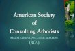 American Society of Consulting Arborists · Professional Practice Guidelines for Consulting Arborists Based on ASCA's Guide to a Professional Consulting Practice and Standards of
