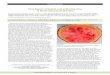 First Report of Squash vein yellowing virus in Watermelon ...€¦ · PLANT HEALTH PROGRESS Vol. 16, No. 3, 2015 Page 113 Plant Health Brief First Report of Squash vein yellowing