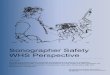 Sonographer Safety WHS Report - FBE, Flinders Biomedical ...fbe.com.au/Sonographer/Reports/Sonographer Safety WHS Report.pdf · • Sonographer Safety Workplace Considerations.pdf