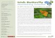 Project Co-ordinator...Page 6 2019 Irish Butterfly Monitoring Scheme Newsletter Irish butterfly population trends 2008-2018 Normalised % of total butterflies recorded 2008-2018