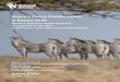 Grevy’s Z Conservation...National Survey of Grevy's zebra/Great Grevy Rally The first two Rallies in 2016 and 2018 were considered successes both in execution as well as in numbers