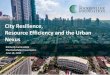 City Resilience, Resource Efficiency and the Urban Nexus 6... · PDF file 2015. 6. 25. · INDIA. Indore, India • Indore faced urban flooding, poor drainage and waterlogging from