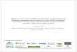 Report on the main activities undertaken and preliminary ... · The CGIAR Water, Land and Ecosystems research project on Targeting Agricultural Innovations and Ecosystem Services