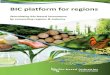 BIC platform for regions - ELMO · Interested regions will be asked to complete a template for their profile in the platform (see section ‘What type of information should regions