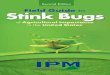 Field Guide Stink Bugs - SHREWSBURY LABshrewsburylab.weebly.com/.../46880525/444-356_pdf.pdf · thorax and abdomen and orange markings on head, thorax, and abdomen. Scutellum with