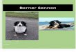Inhoudsopgave Berner Sennen · 2020. 6. 2. · Ik wil graag leren wat de kenmerken en wie de afstammelingen zijn! ... Ik heb geleerd hoe de Berner Sennen eigenlijk is ontstaan, nog