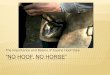 “No Hoof, No Horse” · the frog A naturally occurring organism inside the horse. When poop packs inside the foot the infection takes place. Organism cannot tolerate oxygen –