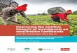 Improving the positive impacts of investments on smallholder …landgovernance.org/assets/Improving-the-positive-impacts-of... · efficient and continual support up to the final stages;