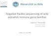 Targeted PacBio sequencing of wild zebrafish immune gene ... · 2-5 ug for Template Prep 5 kb SMRTbell Template Prep PacBio Sequel * All paralogs of: IRGs, GBPs, MX, NFKb, TLRs, RLRs,