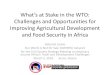 Challenges and Opportunities for Improving Agricultural ...twnafrica.org/ATN Mtg March 2016 - Agriculture-Deborah.pdf · development and plant and livestock gene banks in order to