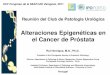 Alteraciones Epigenéticas en el Cancer de Próstata€¦ · el Cancer de Próstata XXV Congreso de la SEAP-IAP, Zaragoza, 2011. Epigenetic alterations in Prostate cancer: overview