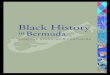 Black History...Bermuda Foundation; former SEO - Curriculum & Instructional Leadership. Dr. Theodore Francis , Assistant Professor of History at Huston-Tillotson University, Austin