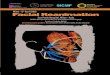 th Facial Reanimation - Charles Bell · PDF file 2019. 2. 22. · Early facial reanimation: personal technique B. Bianchi Early facial reanimation: personal technique G. Salimbeni