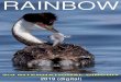 13 Rainbow 2019 Revised (1) Rainbow 2019_Revised_New.pdf · 2019. 8. 11. · (digital) mr. bhaja govinda chowdhury efiap, arps dr. b. k. sinha mfiap, esfiap persona international