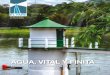 AGUA, VITAL Y FINITA - Panama CanalPrecisamente la vía interoceánica trabaja en mejorar sus estrategias ... las más antiguas, y sus colaboradores, den testimonio de que el Canal
