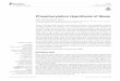 Phosphorylation Hypothesis of Sleepsys-pharm.m.u-tokyo.ac.jp/pdf/Ode_2020.pdf · unihemispheric sleep observed in migratory birds (Rattenborg et al.,2016) and fur seals (Lyamin et