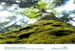 2014 APPLICANTS MANUAL - Cathrocathro.ca/abcfp/forms/ABCFP-Applicants-Manual.pdfpractice of forestry in British Columbia. The Foresters Act grants Registered Forest Technologists (RFT)