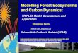 Modelling Forest Ecosysterms and Carbon DynamicsDevelopment of Forest Simulation Models Forest modeling has a long history in Forestry: •Development of a yield table by mensurationists