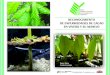 RECONOCIMIENTO DE ENFERMEDADES DE CACAO EN VIVERO Y …sian.inia.gob.ve/pdfpnp/MANEJO DE RECONOCIMIENTO DE... · de las enfermedades en plantas de cacao en vivero La Phytophthora