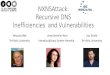 NXNSAttack: Recursive DNS Inefficiencies and Vulnerabilities · Recursive DNS Inefficiencies and Vulnerabilities Yehuda Afek Anat Bremler-Barr Lior Shafir Tel-Aviv University Interdisciplinary