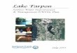 Lake Tarpon SWIM Plan - University of South Florida...Management Plan, prompted the County to initiate the development of a comprehensive watershed management plan for the lake Tarpon