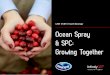 CASE STUDY | Food & Beverage Ocean Spray & SPC: Growing ... · 6/20/2019  · CASE STUDY | FOOD & BEVERAGE infinityqs.com | Viii Configured to Match How Ocean Spray Works When implementing