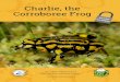 Charlie, the Corroboree Frog - Enviro-Stories · 2018. 2. 19. · 1 Charlie, the Corroboree Frog Authors: Lara Diffey, William Flahive, Rory Hamilton and Olivia Maguire Teacher: Karen