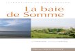 itinéraires de découvertes La baie de Somme · baie de Somme. Une première colonie s’installe en 1986 et commence à se reproduire à partir de 1992. Aujourd’hui, on compte