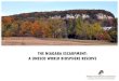 THE NIAGARA ESCARPMENT: A UNESCO WORLD BIOSPHERE … · • The Niagara Escarpment Plan, 2017 • UNESCO World Biosphere Reserve Designation. A GEOLOGICAL TREASURE. A SITE OF EXCELLENCE