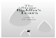The Stone Buddha’s Tears - Post Books · 2012. 10. 19. · Provence The Stone Buddha’s Tears Traditional Disclaimer :Although this novel was inspired by a real incident, the events
