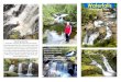 New Waterfalls - WordPress.com · 2019. 1. 17. · Waterfalls Barrington Tops Gloucester Visitor Information Centre 27 Denison Street, Gloucester New South Wales AUSTRALIA T: 02 6538