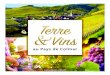 Terre Vins - L'Alsace Essentielle · 2019. 3. 19. · of Alsace wines, «Terre & Vins au Pays de Colmar» is a unique tourist destination on the Alsace Wine Route. Land of contrasts