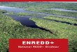 ENREDDredd.mma.gov.br/images/publicacoes/enredd_english_web.pdf · Ministério do Meio Ambiente. ENREDD+ + THE FEDERATIVE REPUBLIC OF BRAZIL National REDD+ Committee Decree No. 8.576,