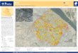 IRAQ - UNITAR€¦ · IRAQ Old City, Mosul, Ninawa Governorate Imagery analysis: 30 June 2017 | Published 6 July 2017 | Version 1.0 Complex Emergency CE20140613IRQ This map illustrates