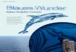 Huber Dolphin Custom Modelle: Dolphin Herkunftsland: Deutschland Hals: Riegelahorn mit Riegelahorngriffbrett