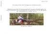 Evaluación de Impacto Ambiental Actividades de Ganadería ...€¦ · Evaluación de Impacto Ambiental Reforestación Comercial en Suelos dedicados a Actividades de Ganadería Extensiva