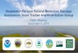 Deepwater Horizon Natural Resources Damage Assessment ... · Natural Resources Damage Assessment Texas Trustee Implementation Group • Natural Resource Damage Assessment and Restoration: