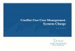 Conflict Free Case Management: Systems Change€¦ · Developed “Conflict-Free Case Management System Design” report with consultants and stakeholders containing four options