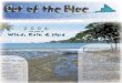 Newsletter2ndQ6 - Buccoo Reef Trust … · Trust in Trinidad and Tobago and vice versa. The incorporation of the Buccoo Reef Trust in the USA will facilitate the participation of