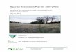 Riparian Restoration Plan for Jelly’s Ferry€¦ · 580 Vallombrosa Avenue Phone: (530) 894-5401 Chico, CA 95926 Fax: (530) 894-2970 info@riverpartners.org  Prepared for:
