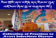 Collection of Practices to Avert Infectious Disease འཇྲོམས ... Disease-HHDL-A5.pdf.p… · Collection of Practices to Avert Infectious Disease - 18 ༈ རྲོ་རེའི་གྲོ་ཁྲབ་གཟུངས་སྔགས།