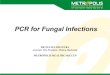 PCR for Fungal Infections - metropolismauritius.commetropolismauritius.com/wp-content/uploads/2016/08/PCR_for_fung… · • The PCR method for DNA amplification was developed by