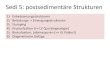 Sedi 5: postsedimentäre Strukturen - tu-freiberg.de 5-postsedi-strukturen.pdf · Tepee Tepee . Convolute Bedding i.d.R. durch Liquifaktion verursacht (Erdbeben, schnelle Auflast)