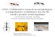 AToL: Collaborative research on ant phylogeny: a ...€¦ · AToL: Collaborative research on ant phylogeny: a comprehensive evolutionary tree for the world’s premier social organisms