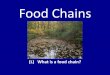 Food Chains - Ms. Wolfe's Classroom€¦ · What is a food chain? Food chains are a way of thinking about how plants and animals in an ecosystem are interconnected. food chain –