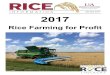 2017 Rice Farming for Profit - uaex.edu€¦ · Rice Farming for Profit January 2017. 2 Conventional Long Grain Varieties Conventional Long Grain Hybrids Clearfield Long Grain Varieties